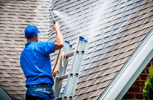 vista roof cleaning